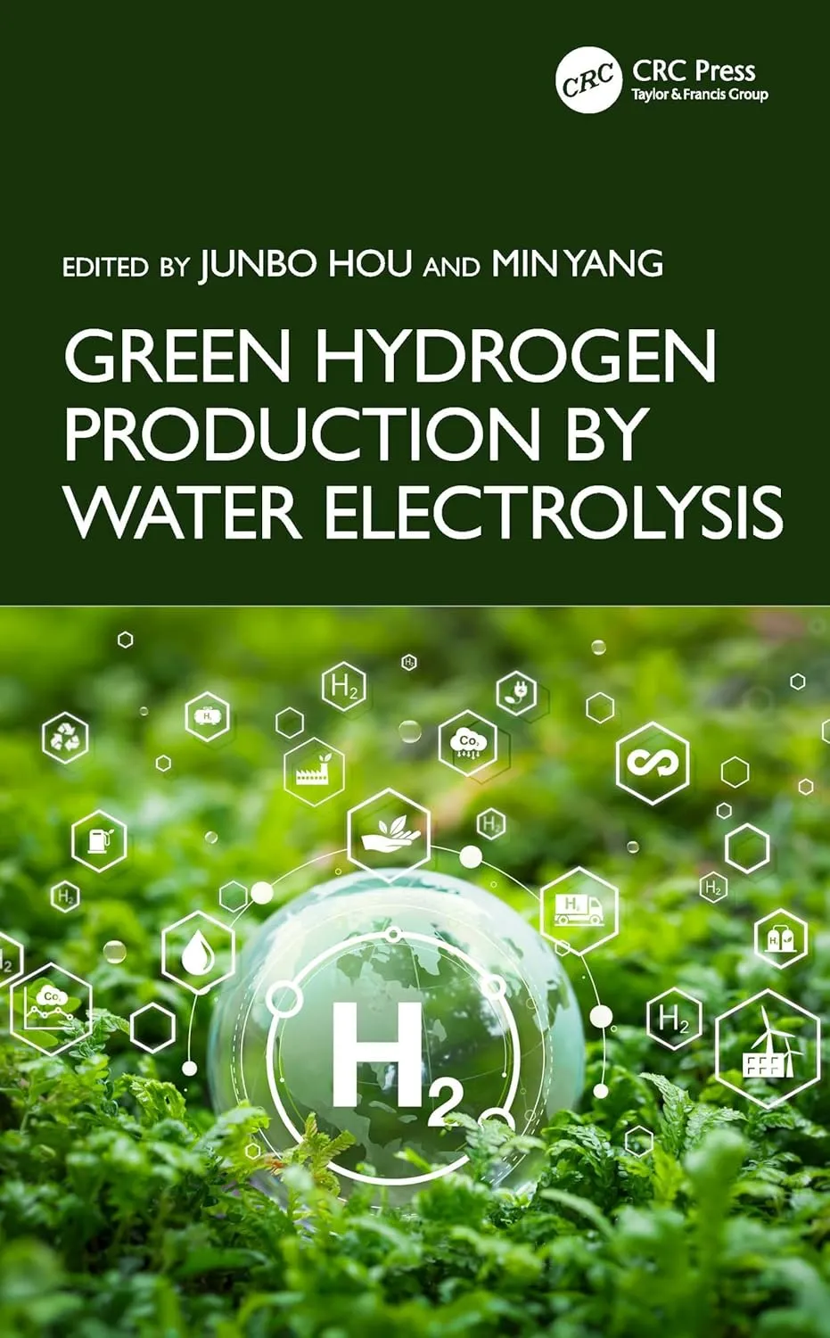 Green Hydrogen Production By Water Electrolysis | Hardcover