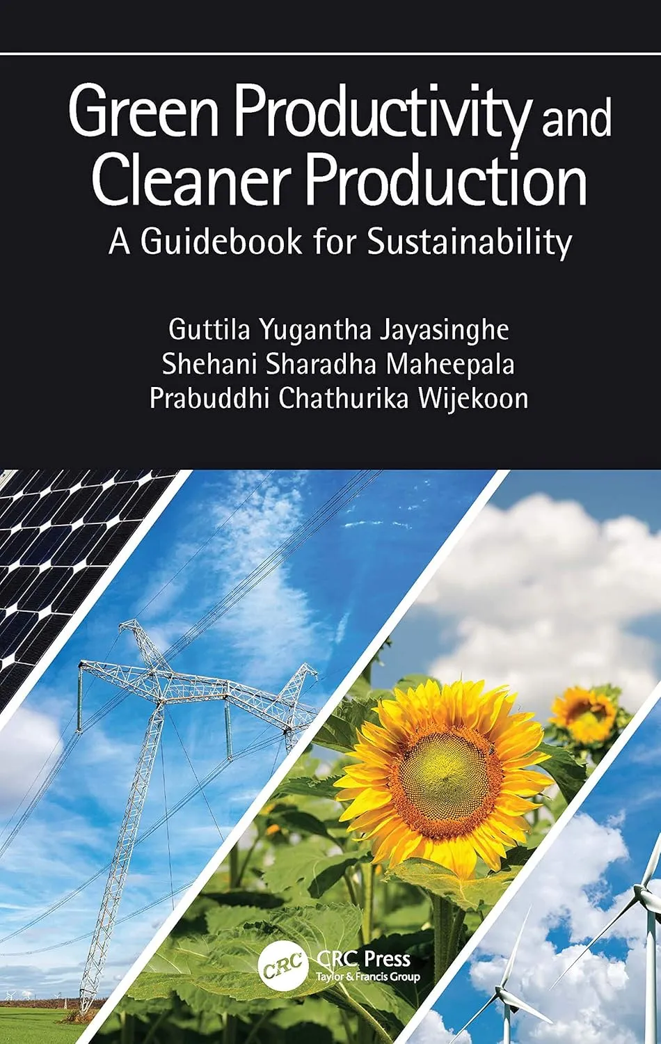 Green Productivity And Cleaner Production | Hardcover