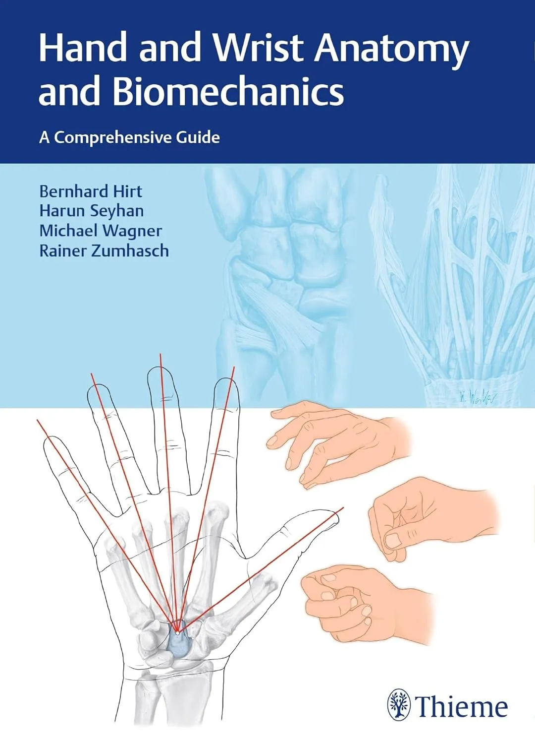 Hand and Writst Anatomy and Biomechanics | Hardcover