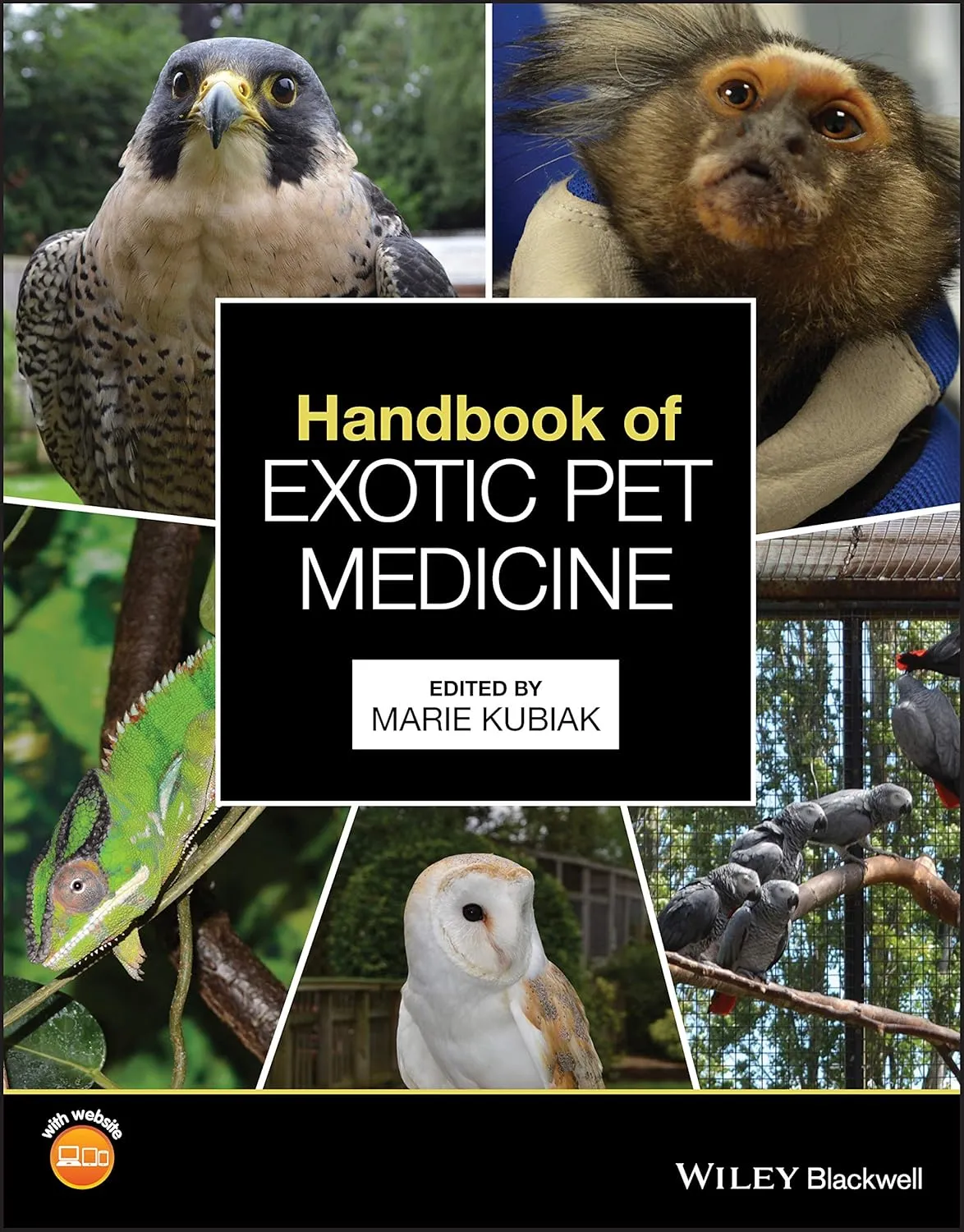 Handbook Of Exotic Pet Medicine | Paperback