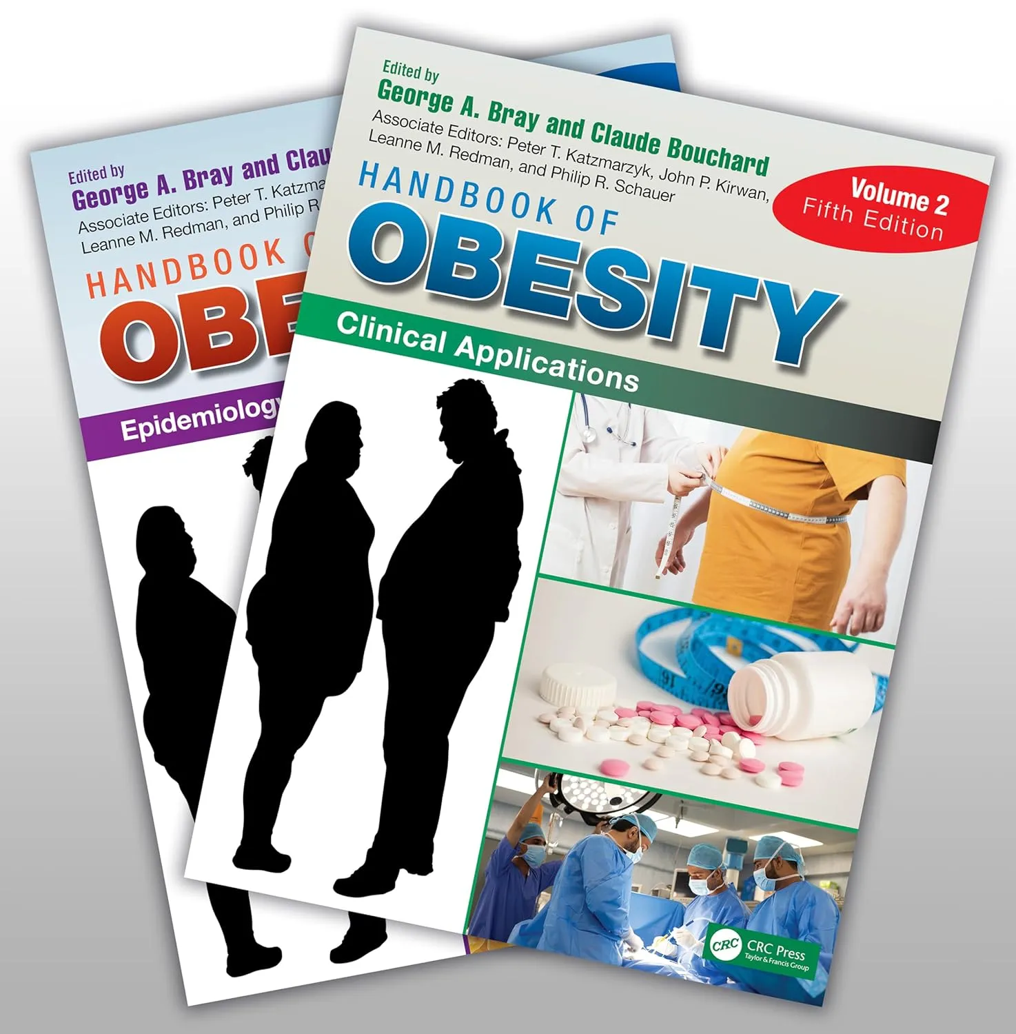 Handbook Of Obesity 2 Vol Set 5th Edition | Hardcover