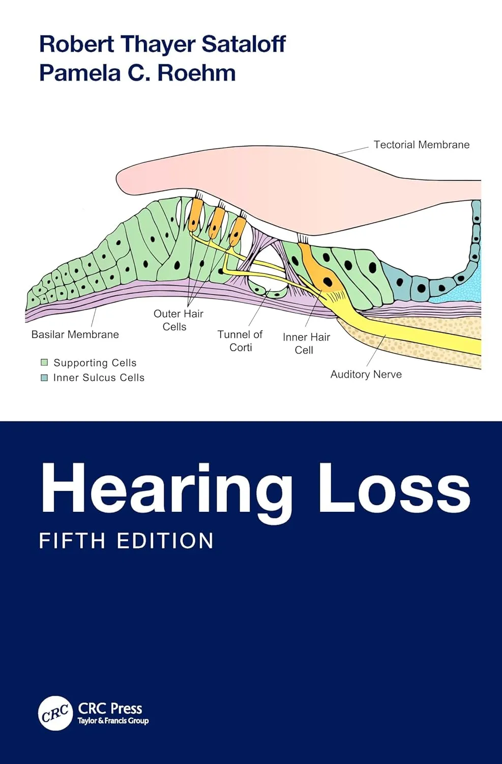 Hearing Loss 5th Editiond | Paperback