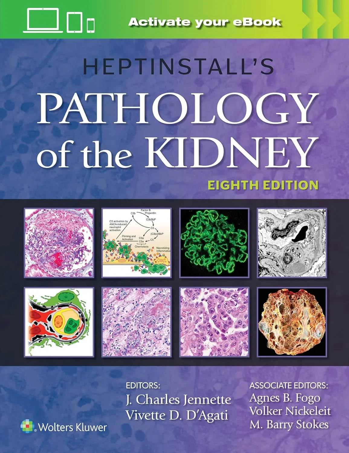 Heptinstalls Pathology Of The Kidney With Access Code 8th Edition | Hardcover