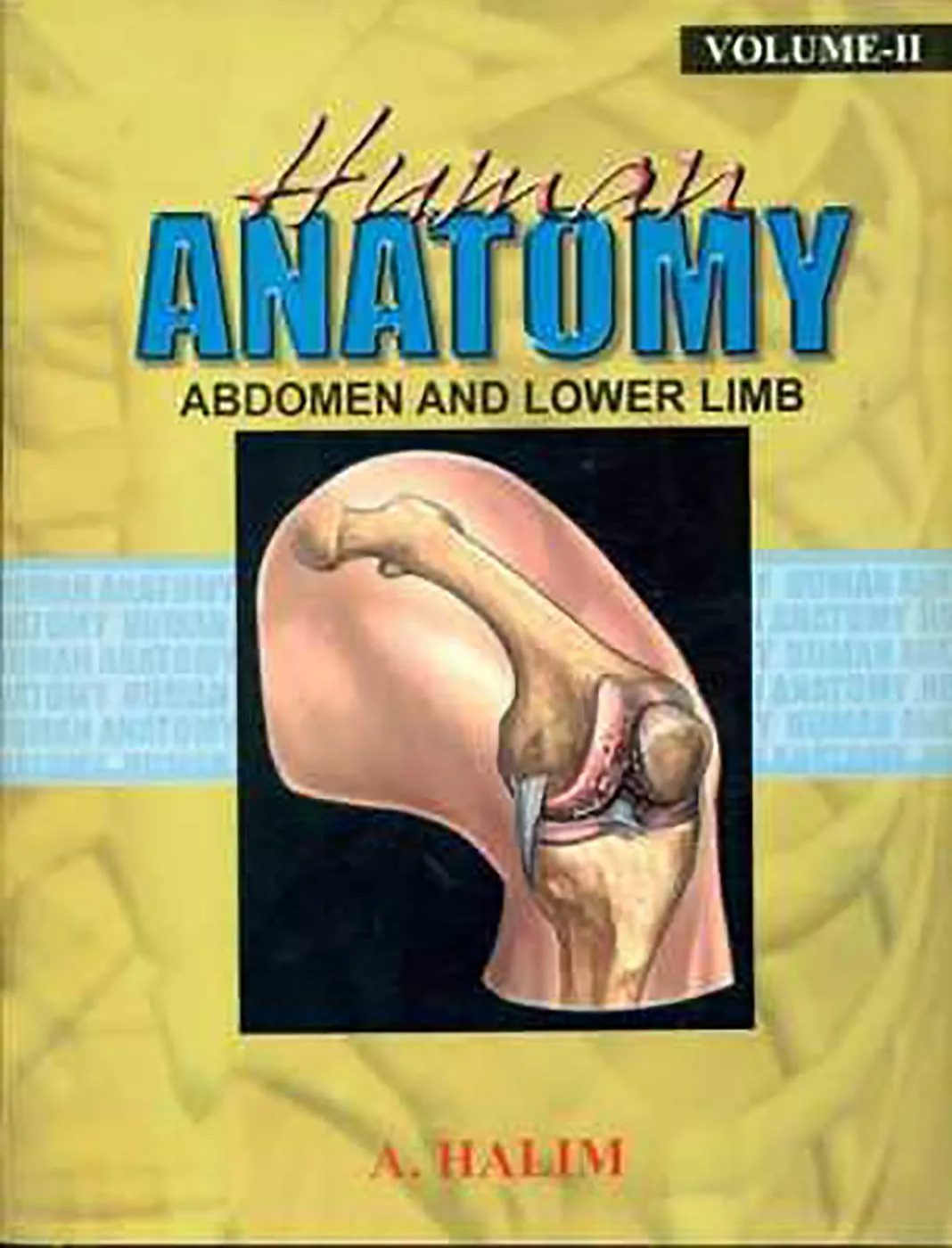 Human AnatomyAbdomen and Lower Limb | Volume 2