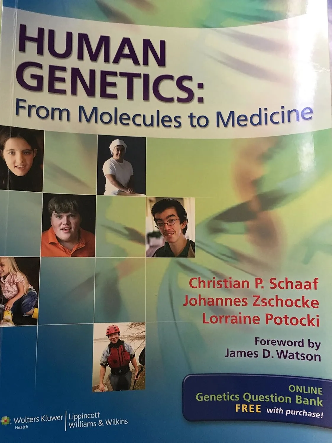 Human Genetics From Molecules to Medicine | Paperback