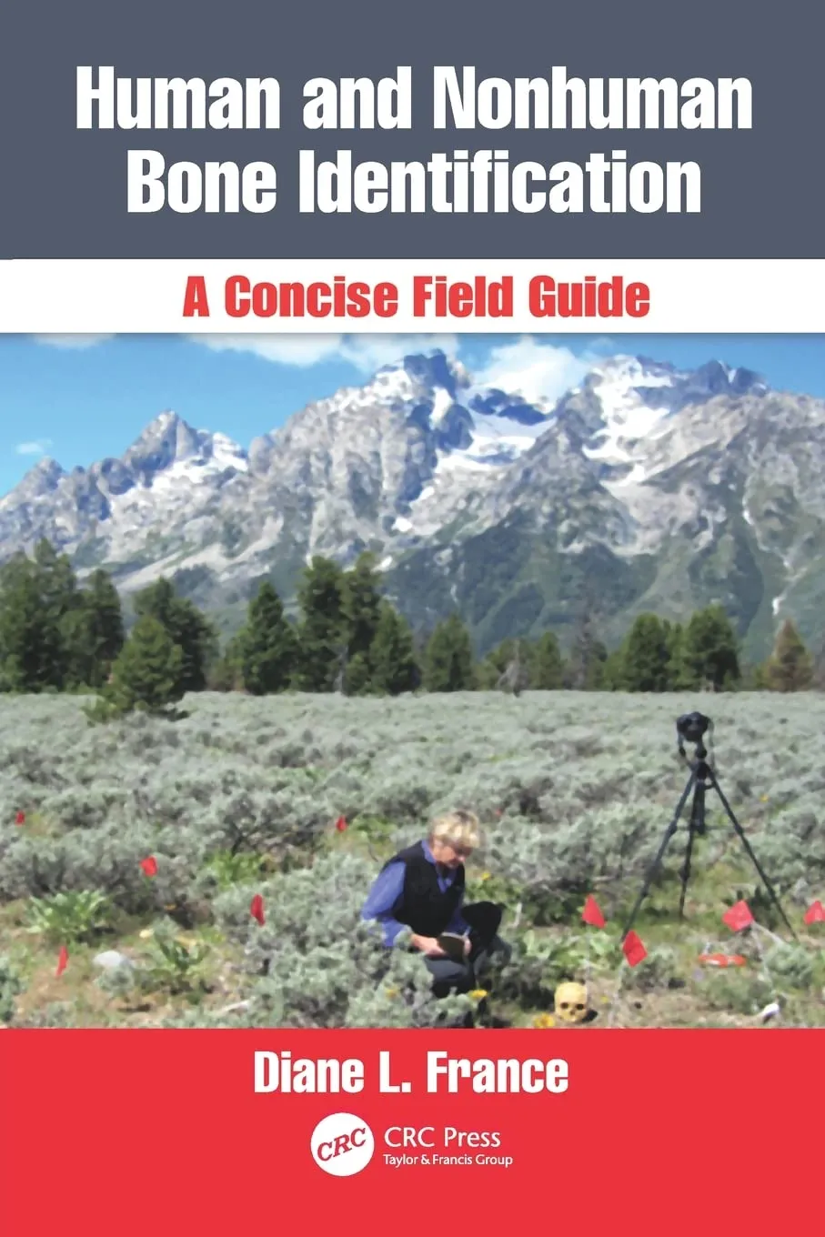 Human and Nonhuman Bone Identification A Concise Field Guide | Paperback