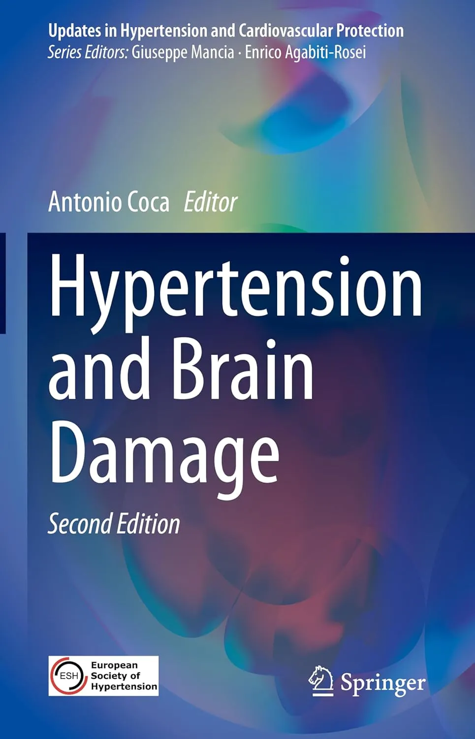 Hypertension And Brain Damage 2nd Editiond | Hardcover