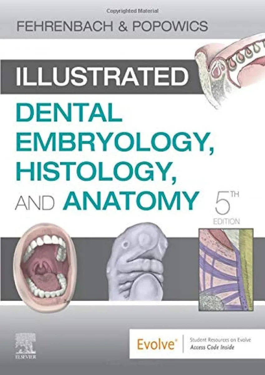 Illustrated Dental Embryology | Histology | and Anatomy | 5th Edition | Paperback