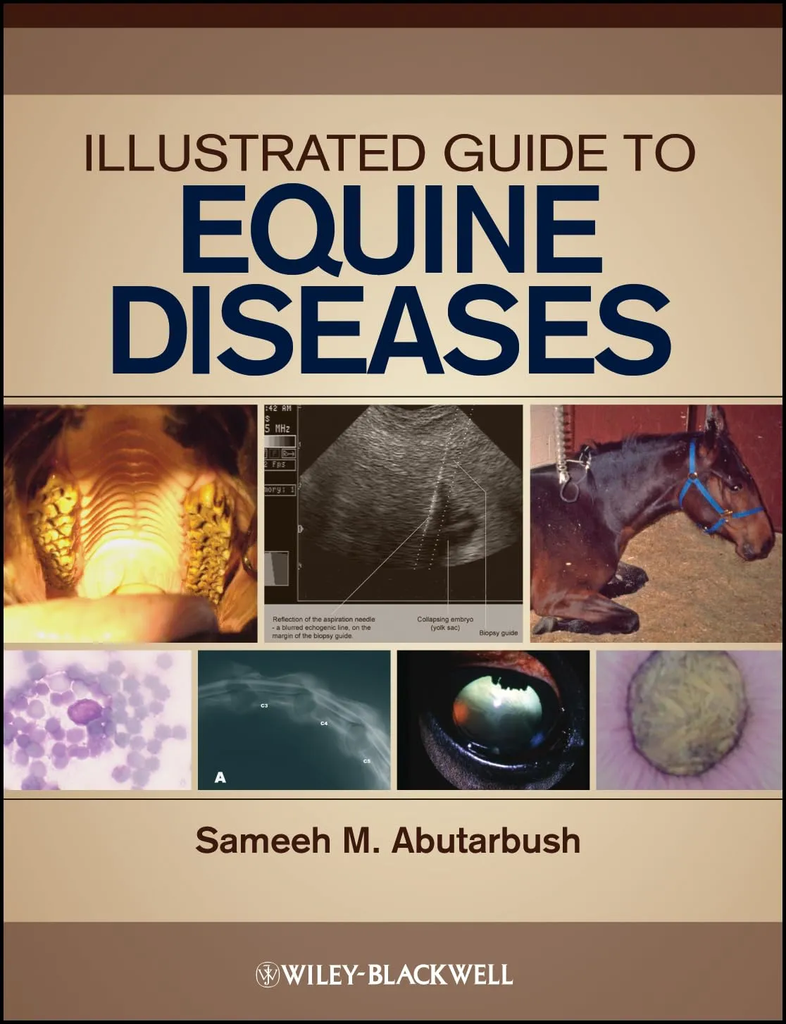 Illustrated Guide to Equine Diseases | Hardcover