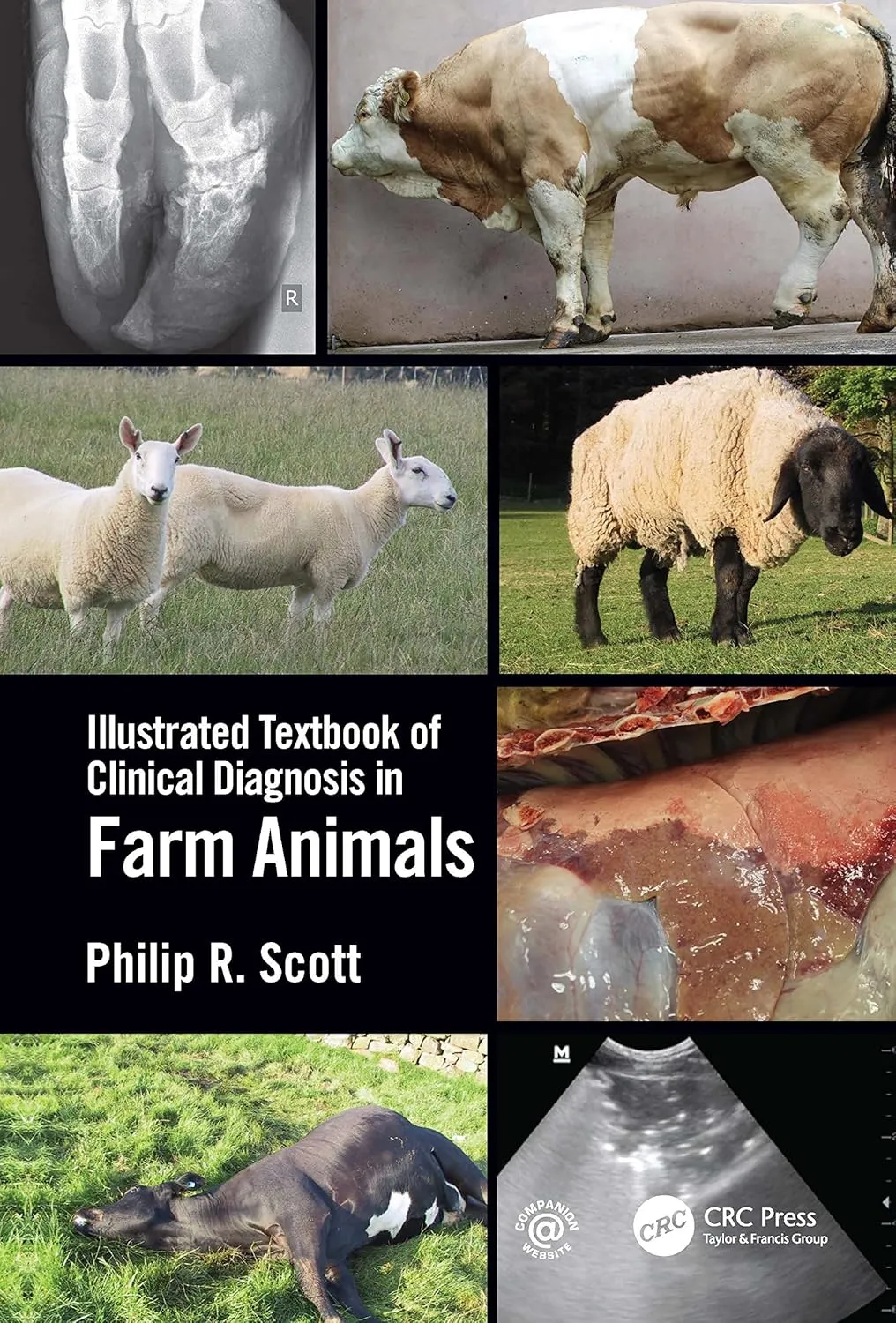 Illustrated Textbook Of Clinical Diagnosis In Farm Animals | Paperback