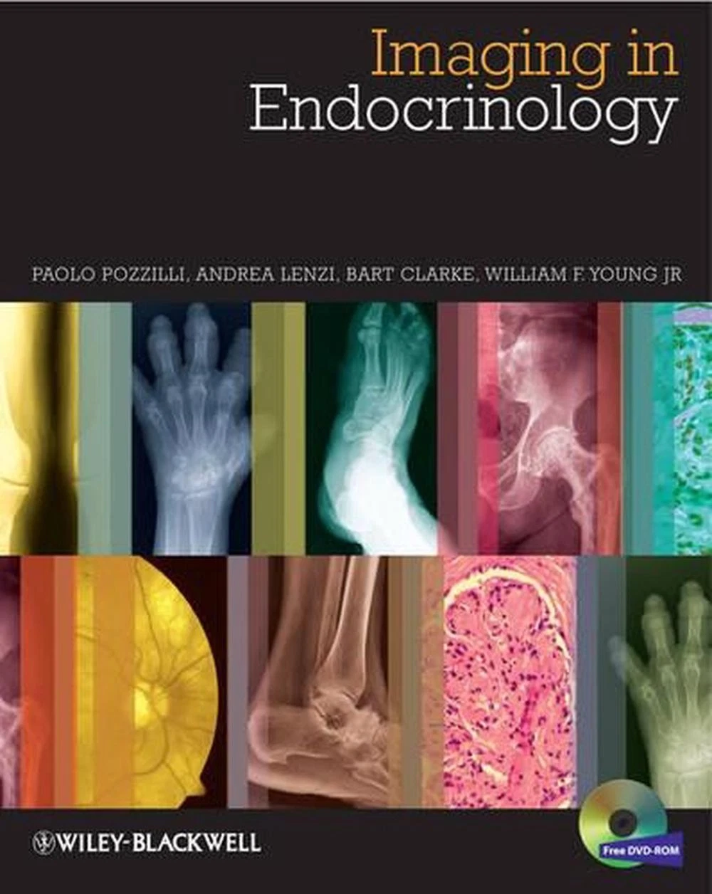 Imaging in Endocrinology | Hardcover