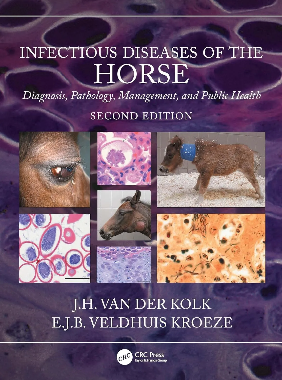 Infectious Diseases Of The Horse Diagnosis Pathology Management And Public Health 2nd Edition | Hardcover