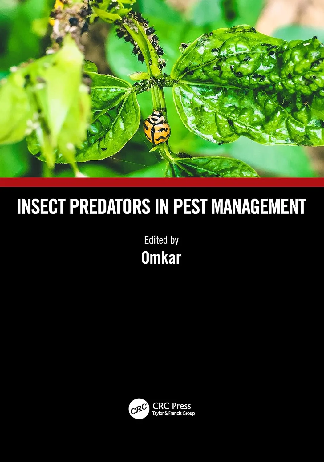 Insect Predators In Pest Management | Hardcover