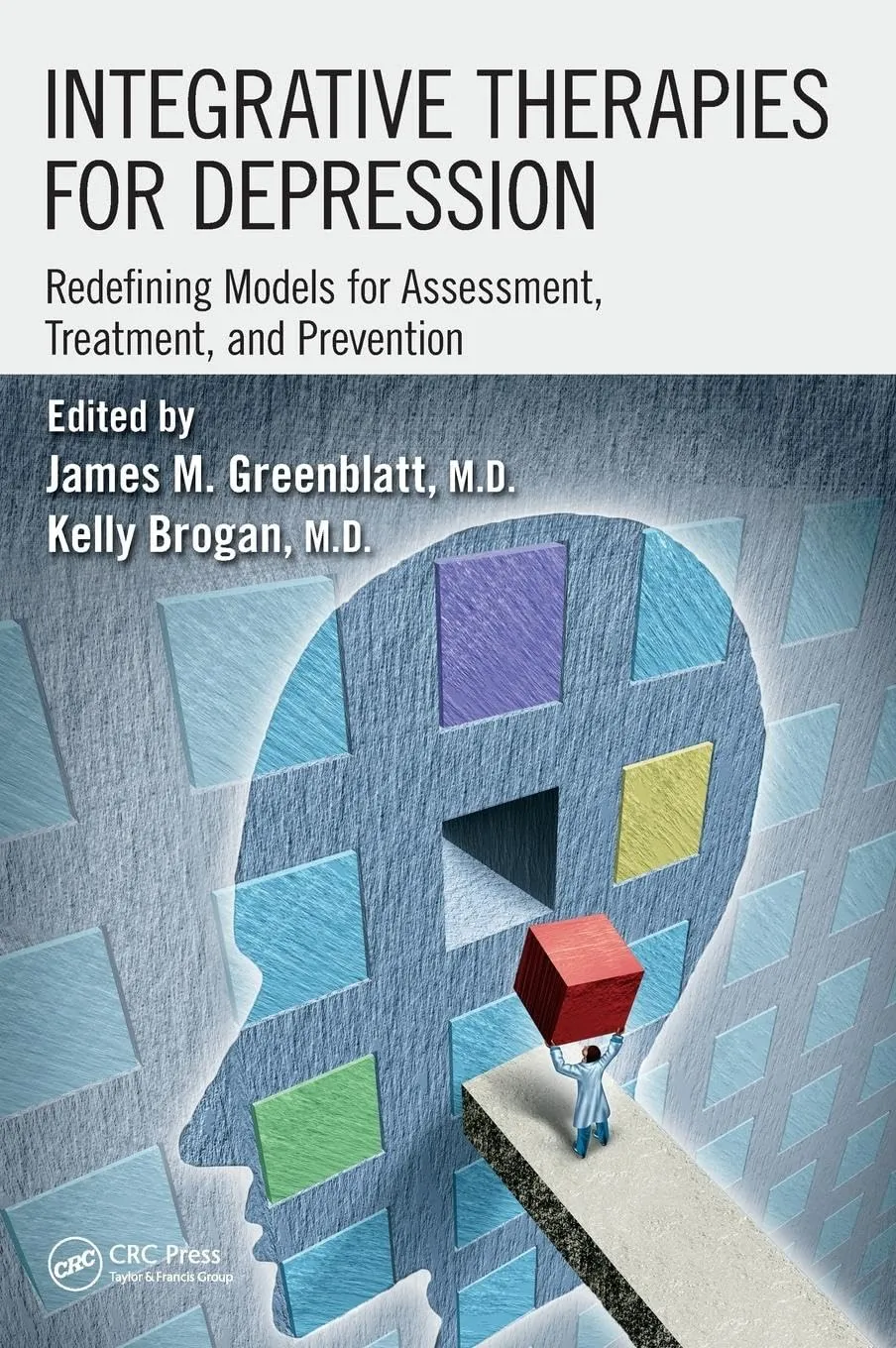 Integrative Therapies For Depression Redefining Models for Assessment | Treatment | and Prevention | Hardcover