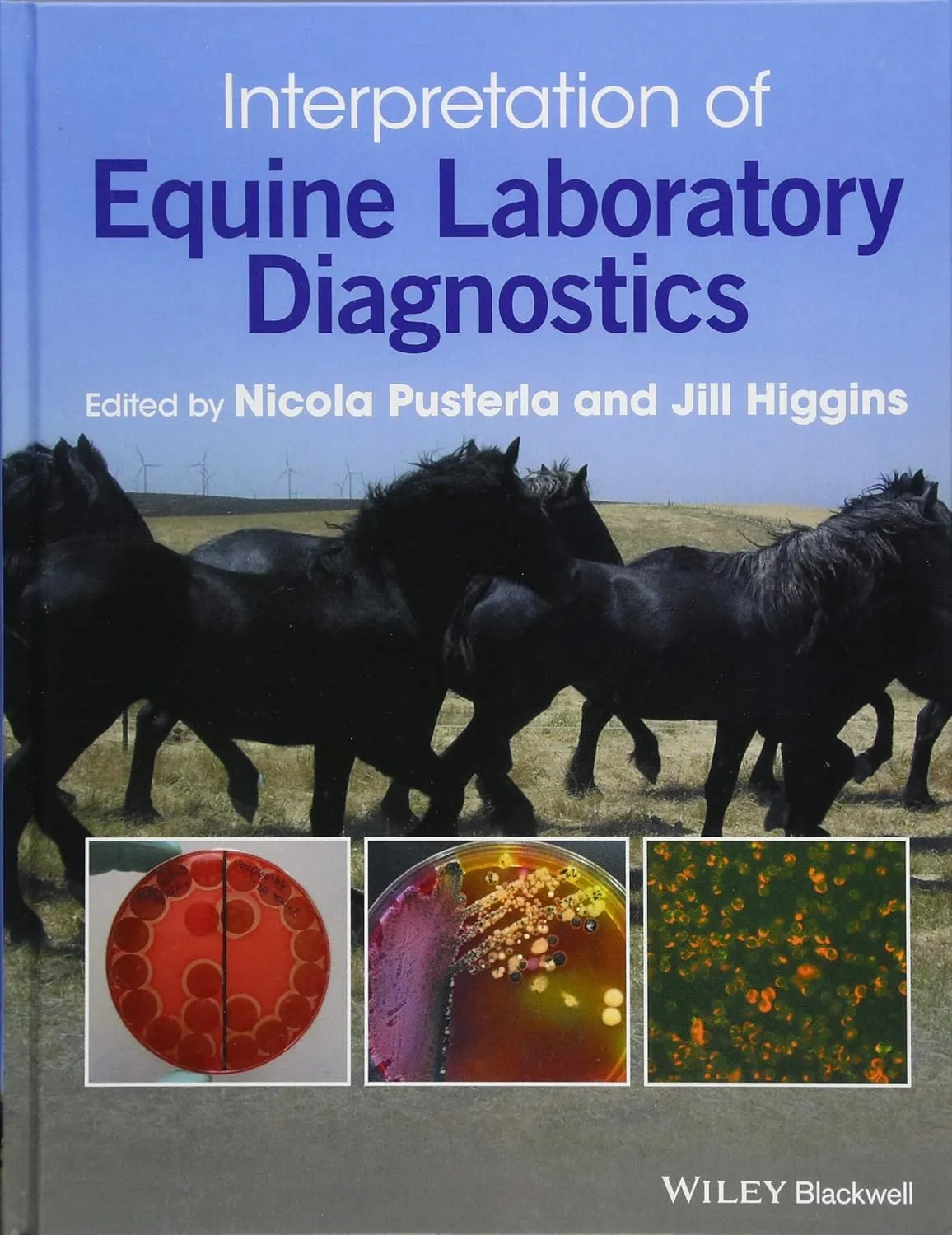 Interpretation of Equine Laboratory Diagnostics | Hardcover