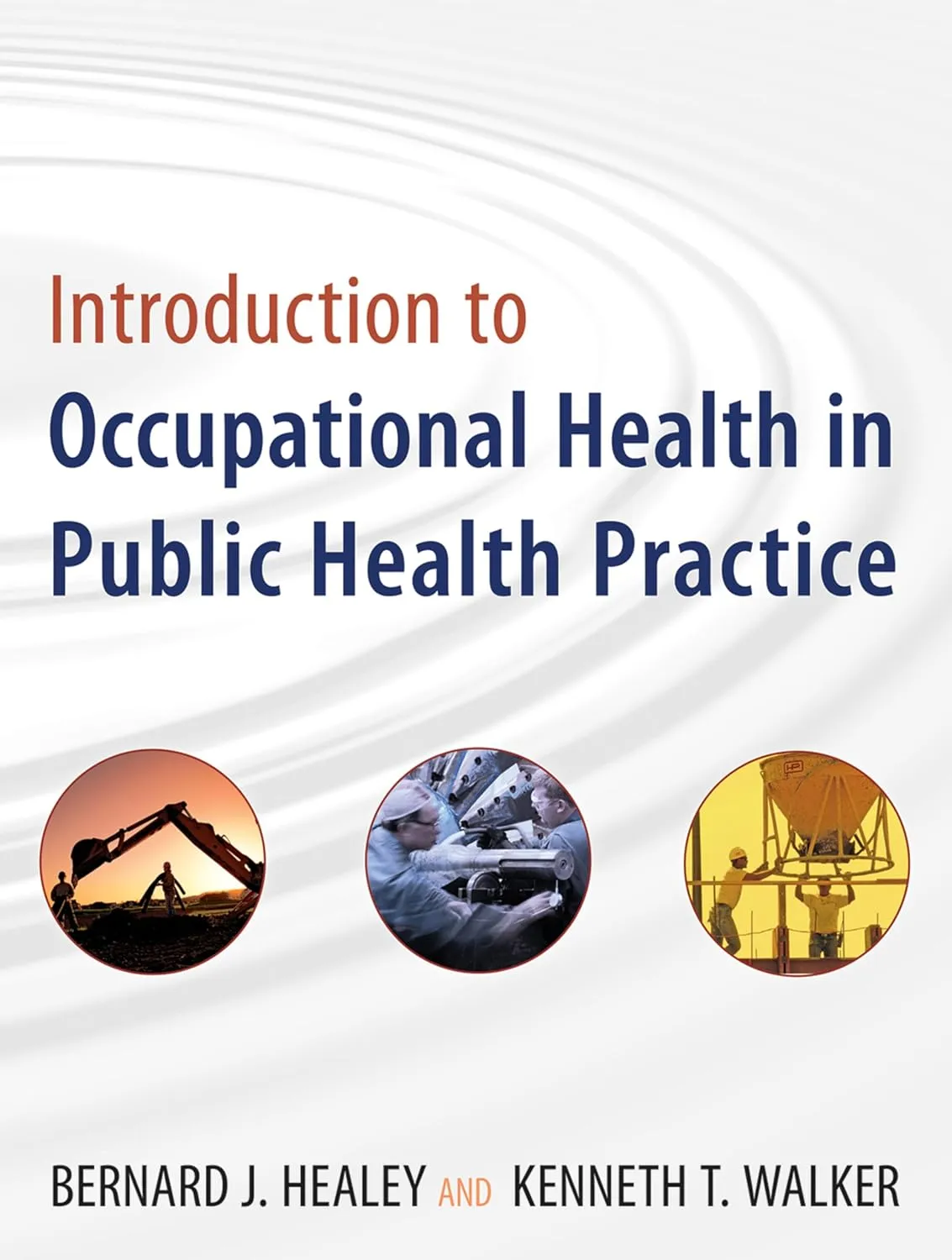 Introduction to Occupational Health in Public Health Practice | Paperback