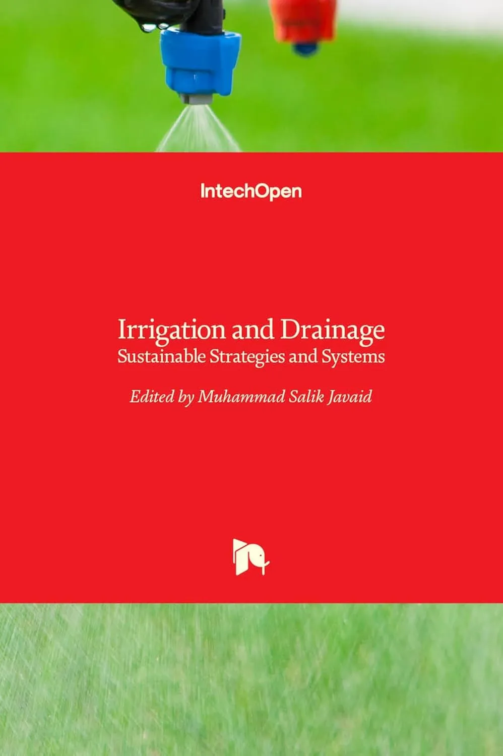 Irrigation and Drainage Sustainable Strategies and Systems | Hardcover