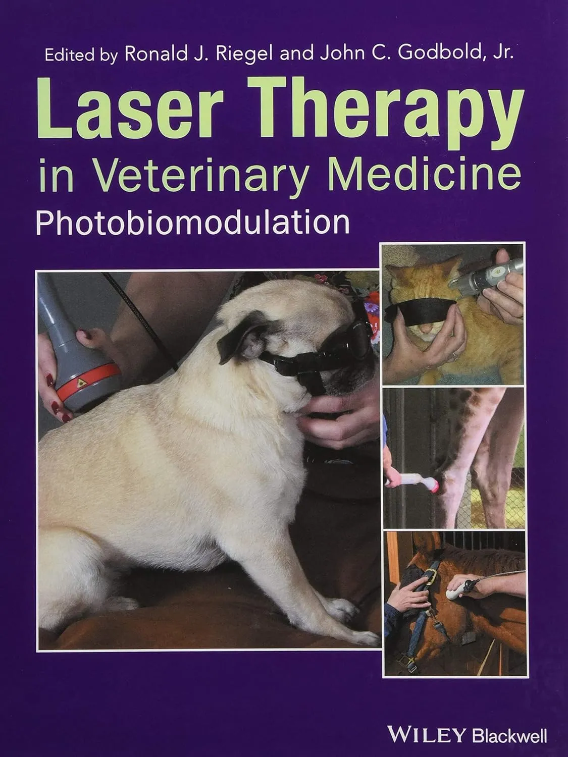 Laser Therapy in Veterinary Medicine | Hardcover