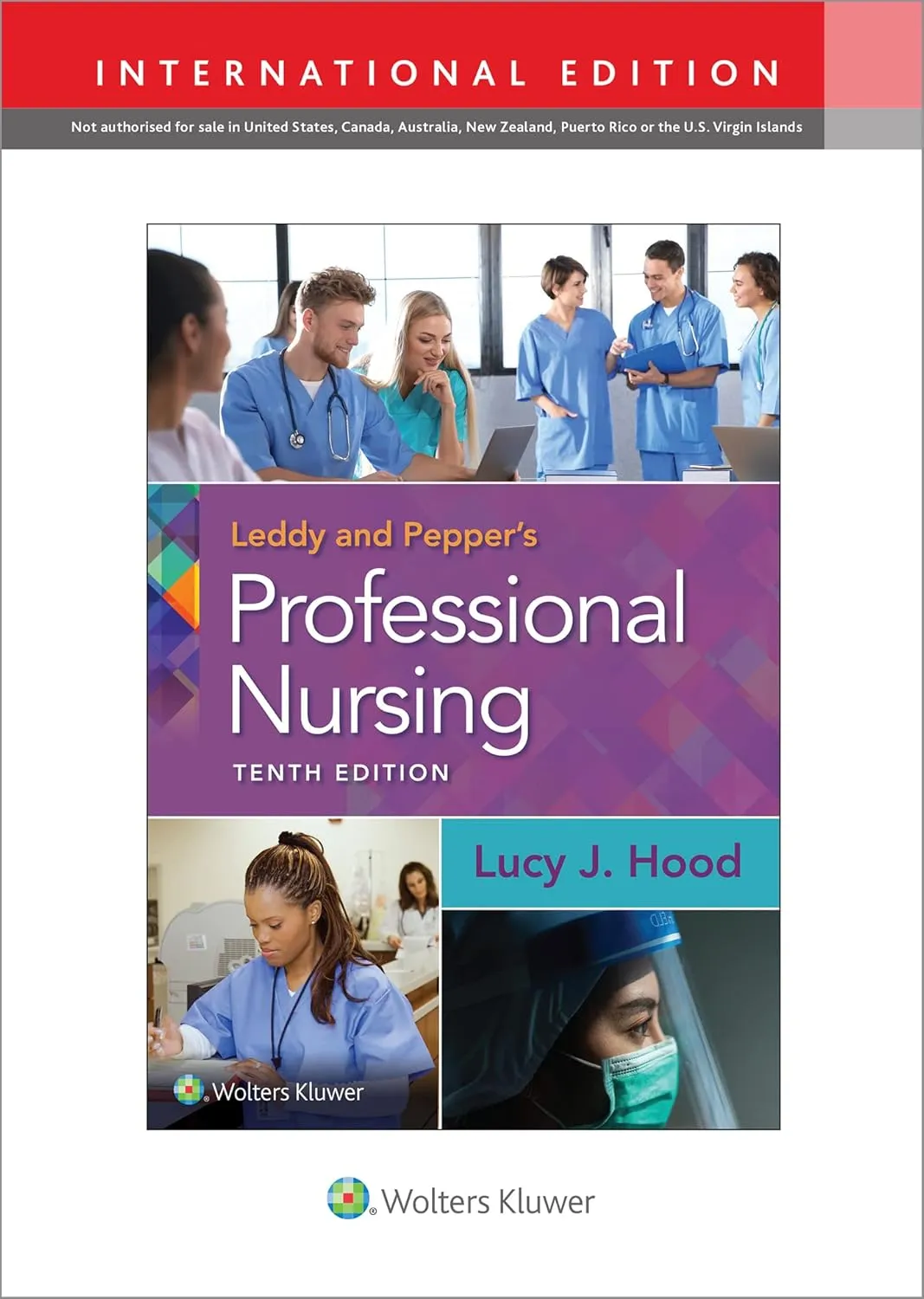 Leddy and Pepper'S Professional Nursing 10th Edition (Ie) | Paperback