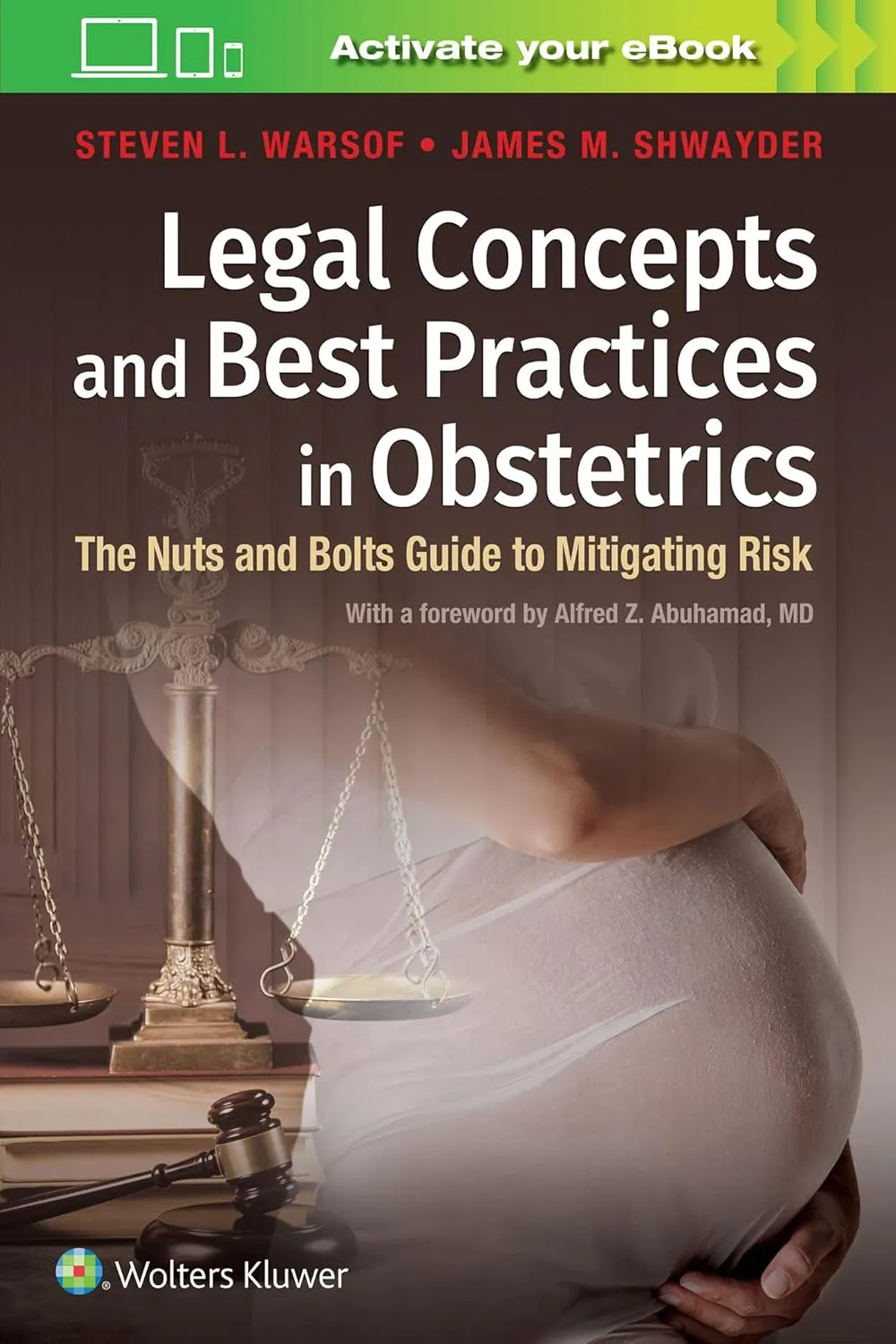 Legal Concepts and Best Practices in Obstetrics The Nuts and Bolts Guide to Mitigating Risk | Paperback