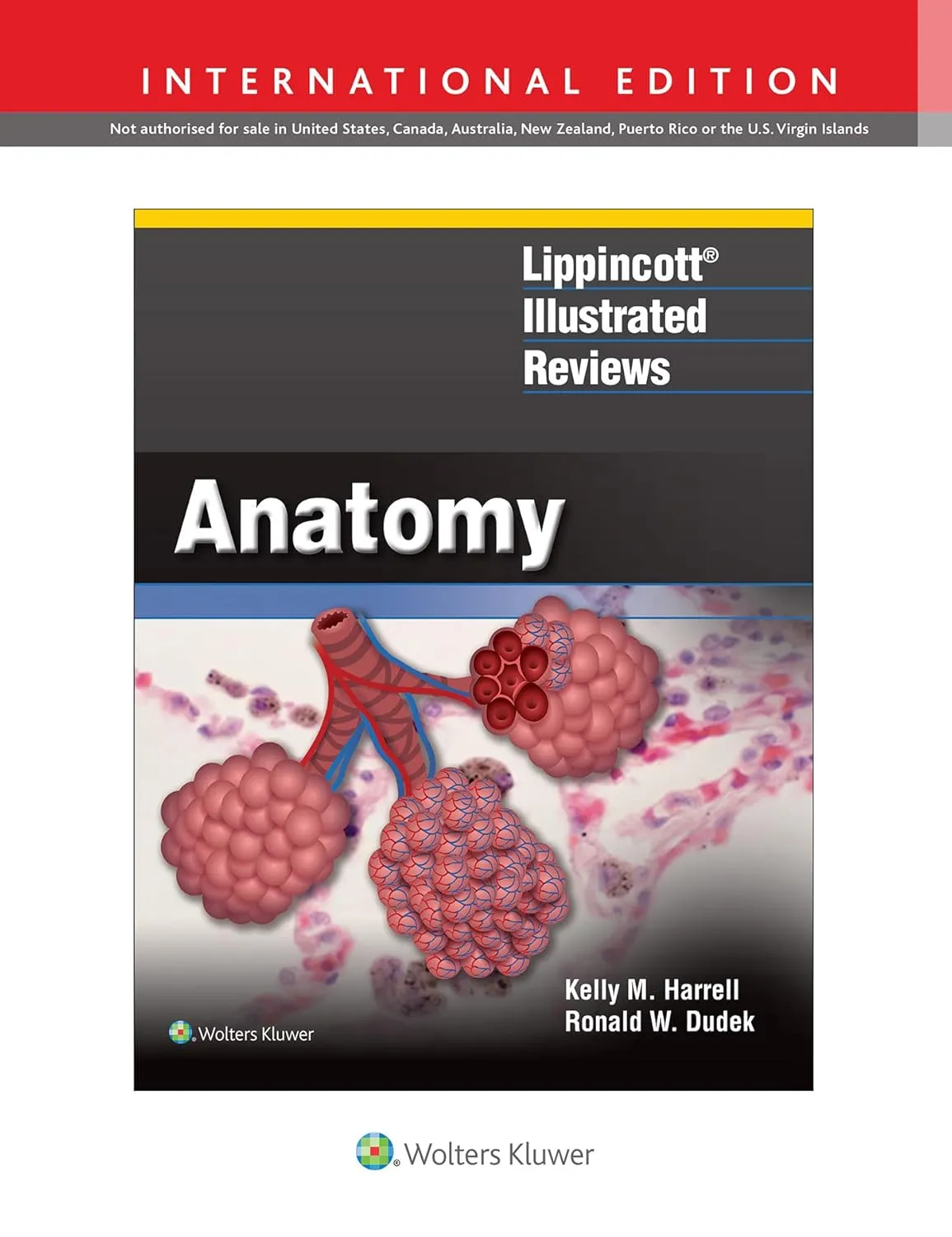 Lippincott Illustrated Reviews Anatomy | Paperback