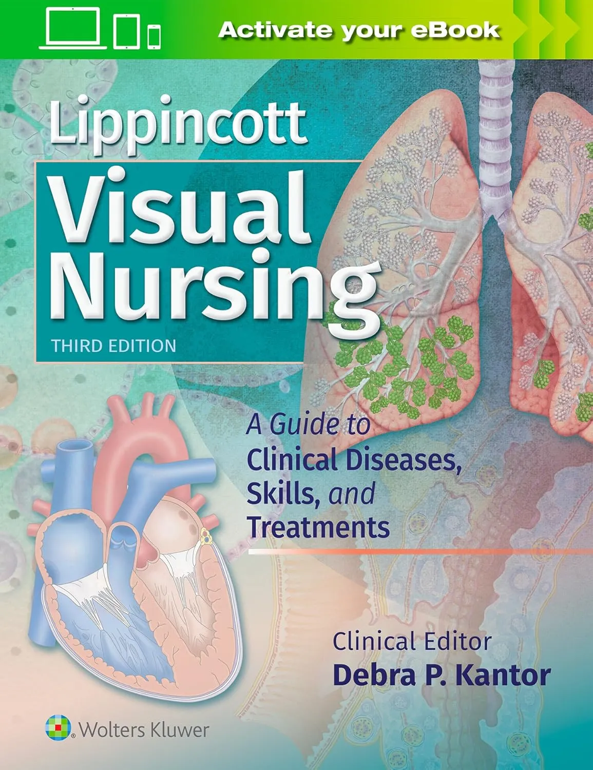 Lippincott Visual Nursing | Third Edition | Paperback