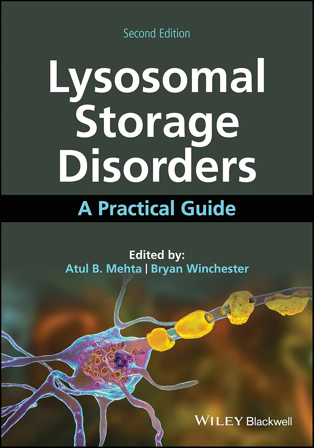Lysosomal Storage Disorders A Practical Guide 2nd Edition | Hardcover