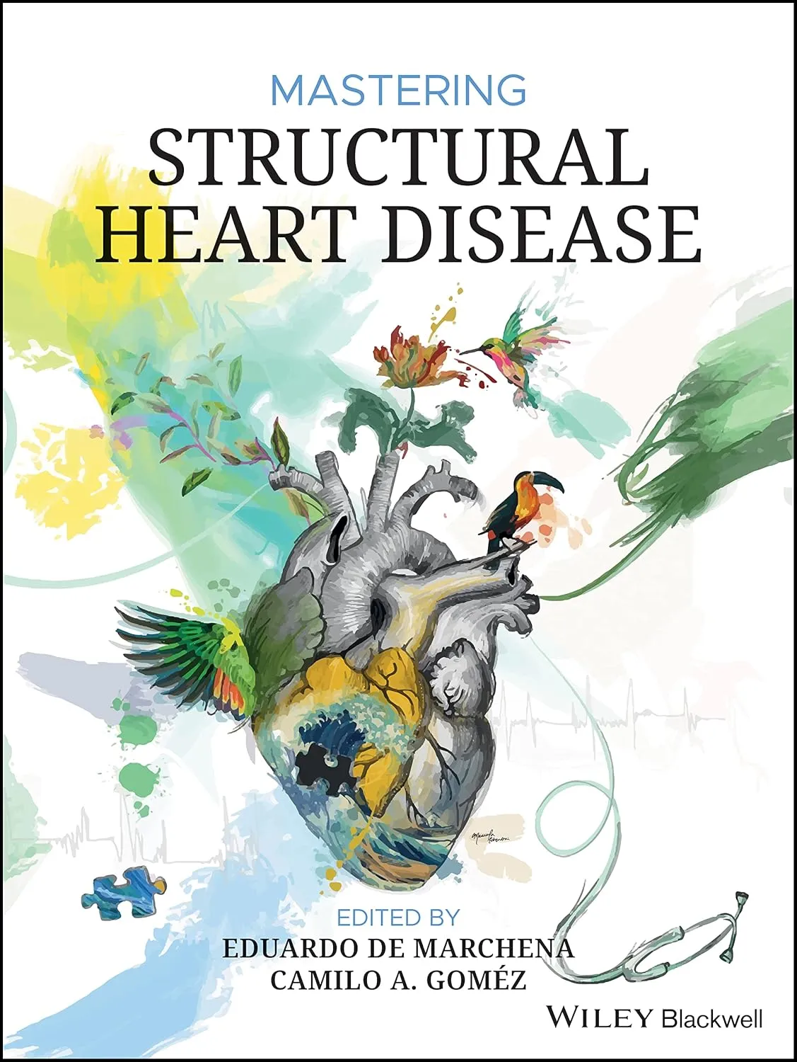 Mastering Structural Heart Disease | Hardcover