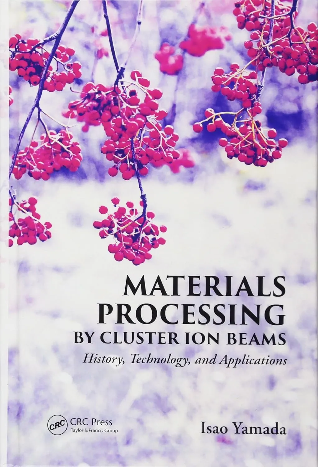 Materials Processing by Cluster ION Beams | Hardcover