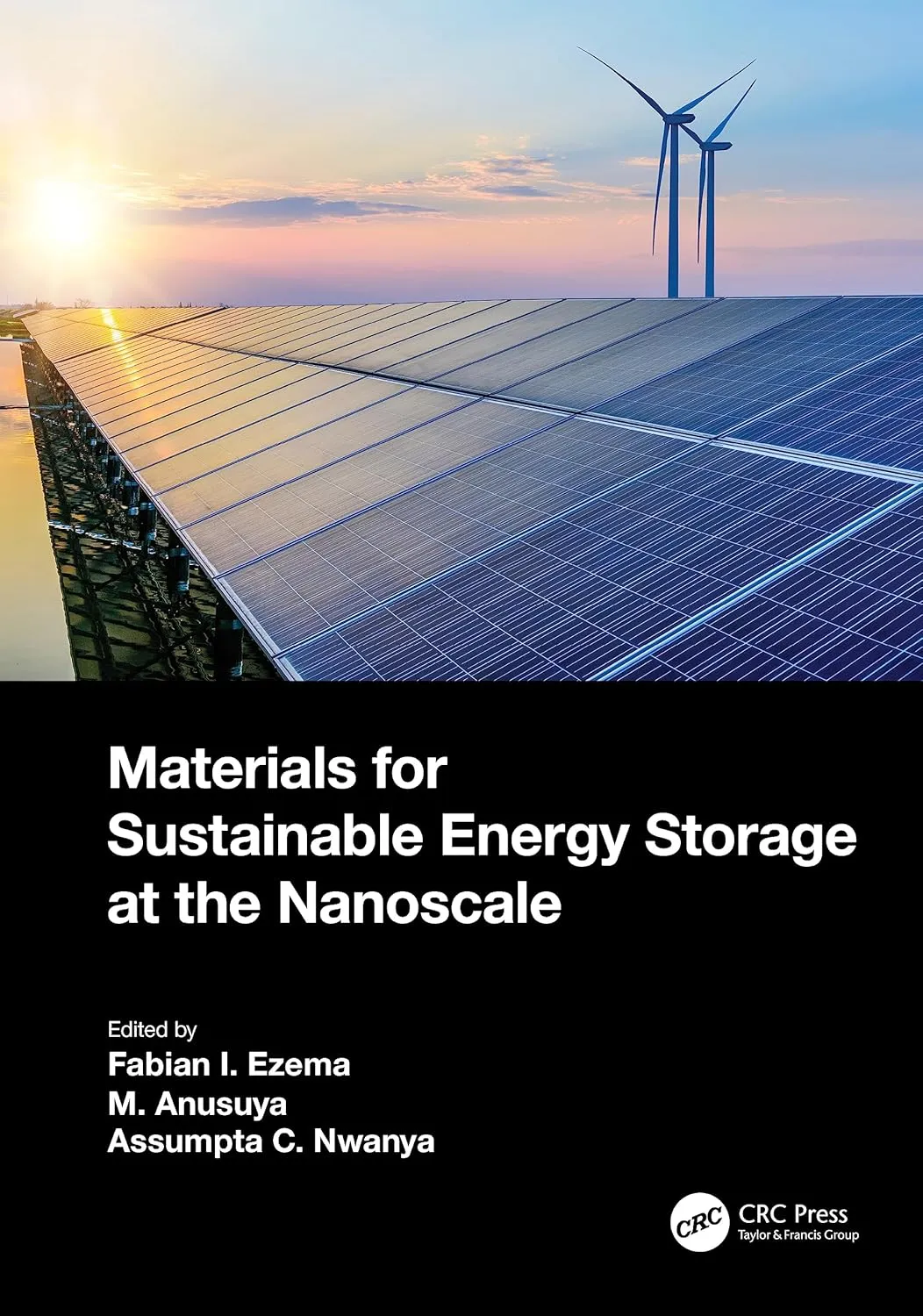 Materials For Sustainable Energy Storage At The Nanoscale | Hardcover