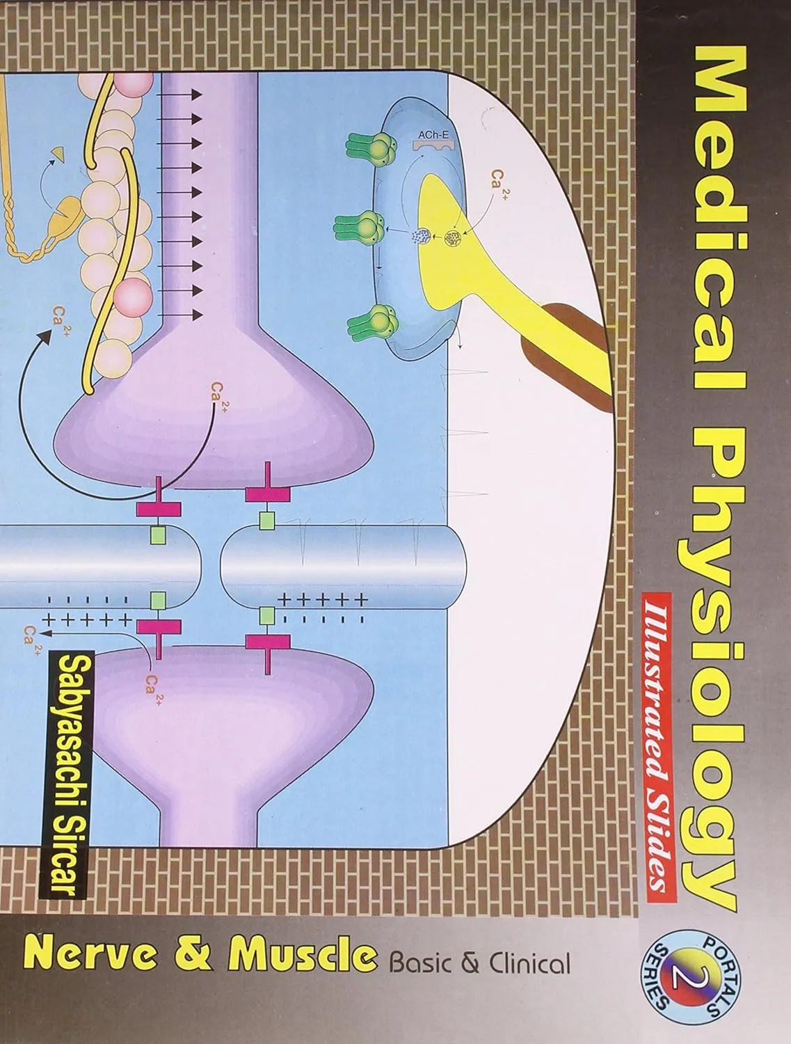 Medical Physiology Illustrated Slides | Basic and Clinical | Part II  Nerve and Muscle