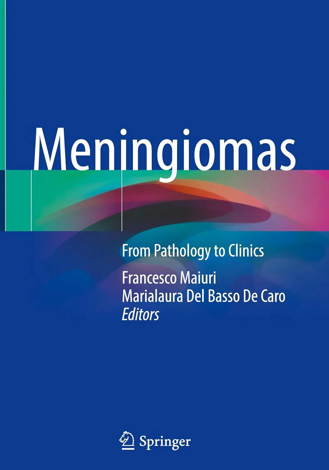 Meningiomas From Pathology To Clinics | Hardcover