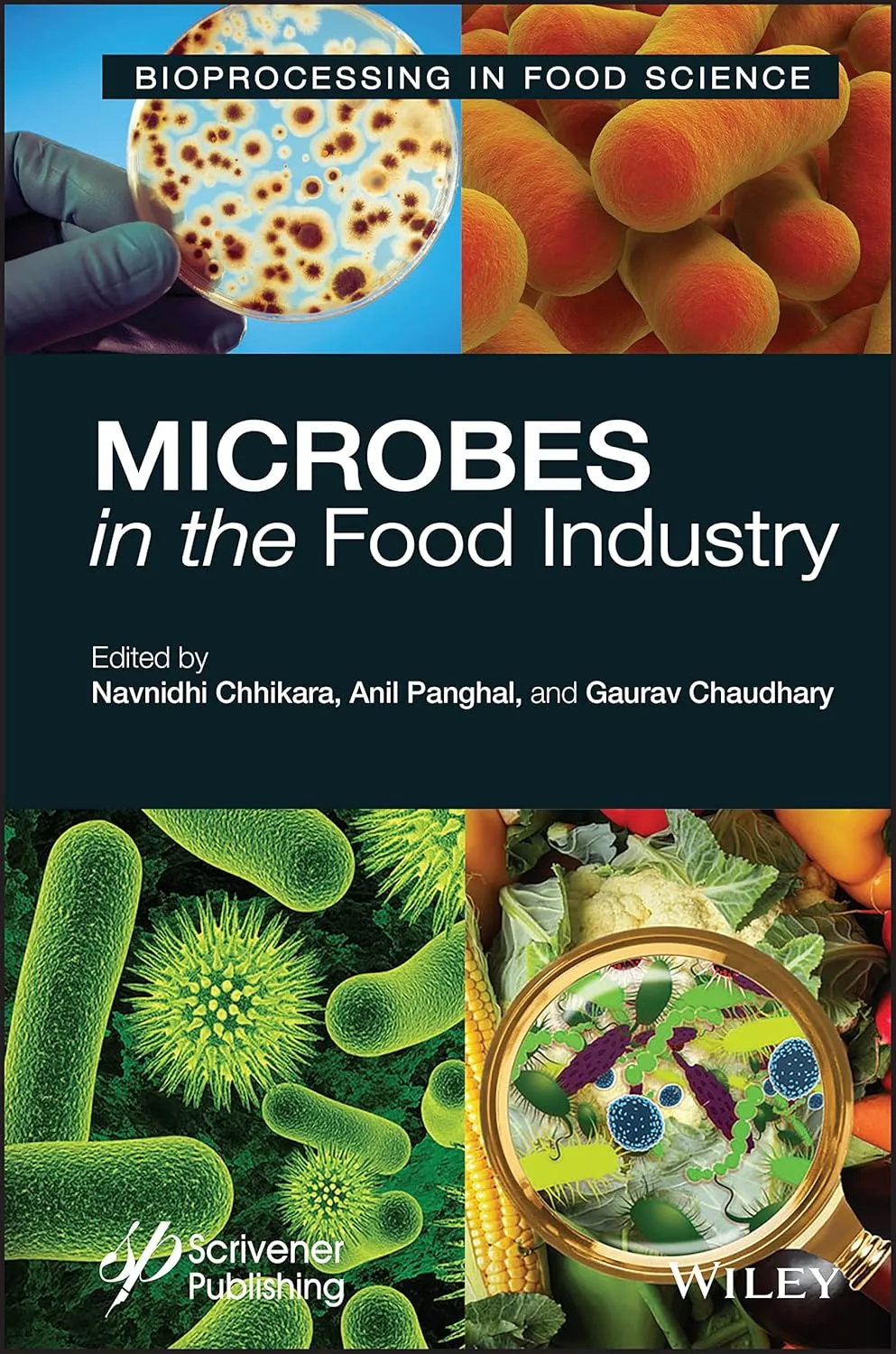 Microbes In The Food Industry Bioprocessing In Food Science | Hardcover