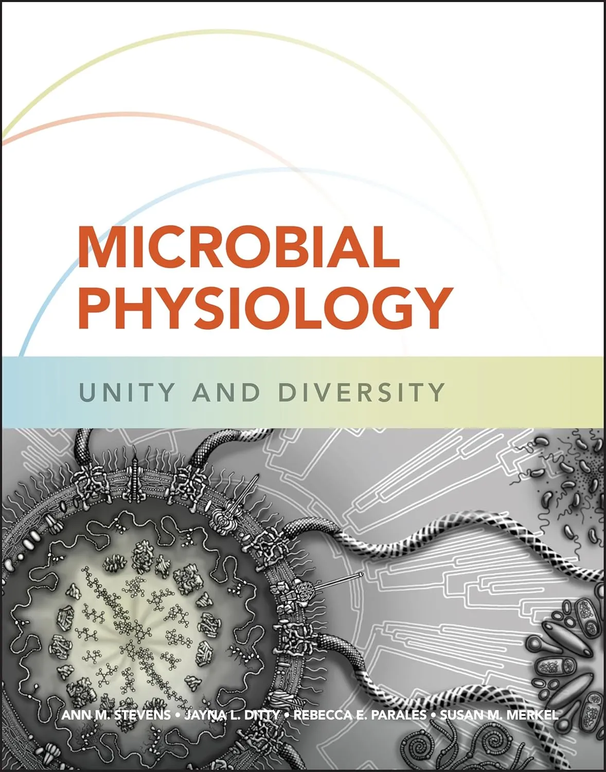 Microbial Physiology Unity And Diversity | Hardcover