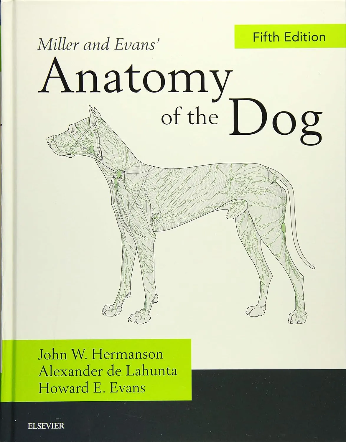 Miller and Evans' Anatomy of the Dog | 5th Edition | Hardcover