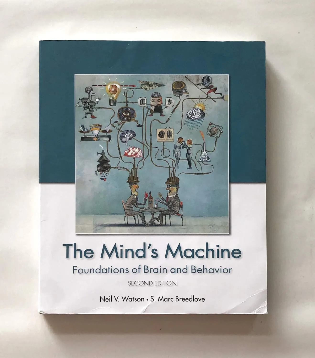 The Mind's Machine Foundations of Brain and Behavior | 2nd Edition | Paperback