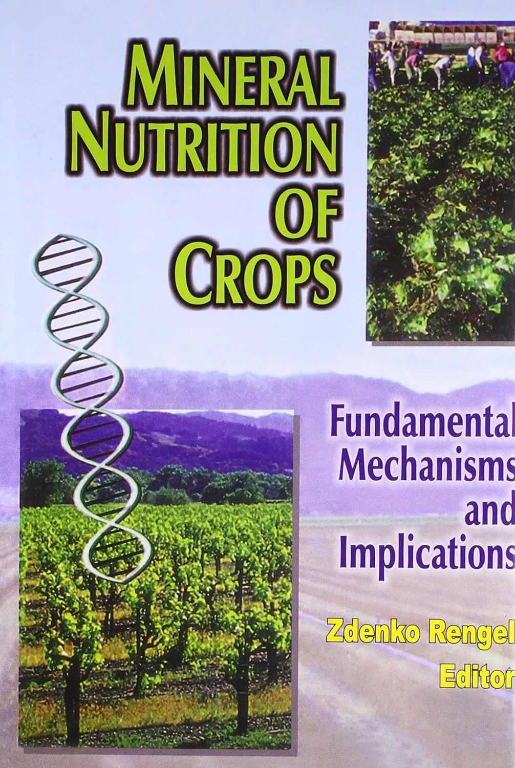 Mineral Nutrition of Crops (Funda. Mechanisms and Implications)