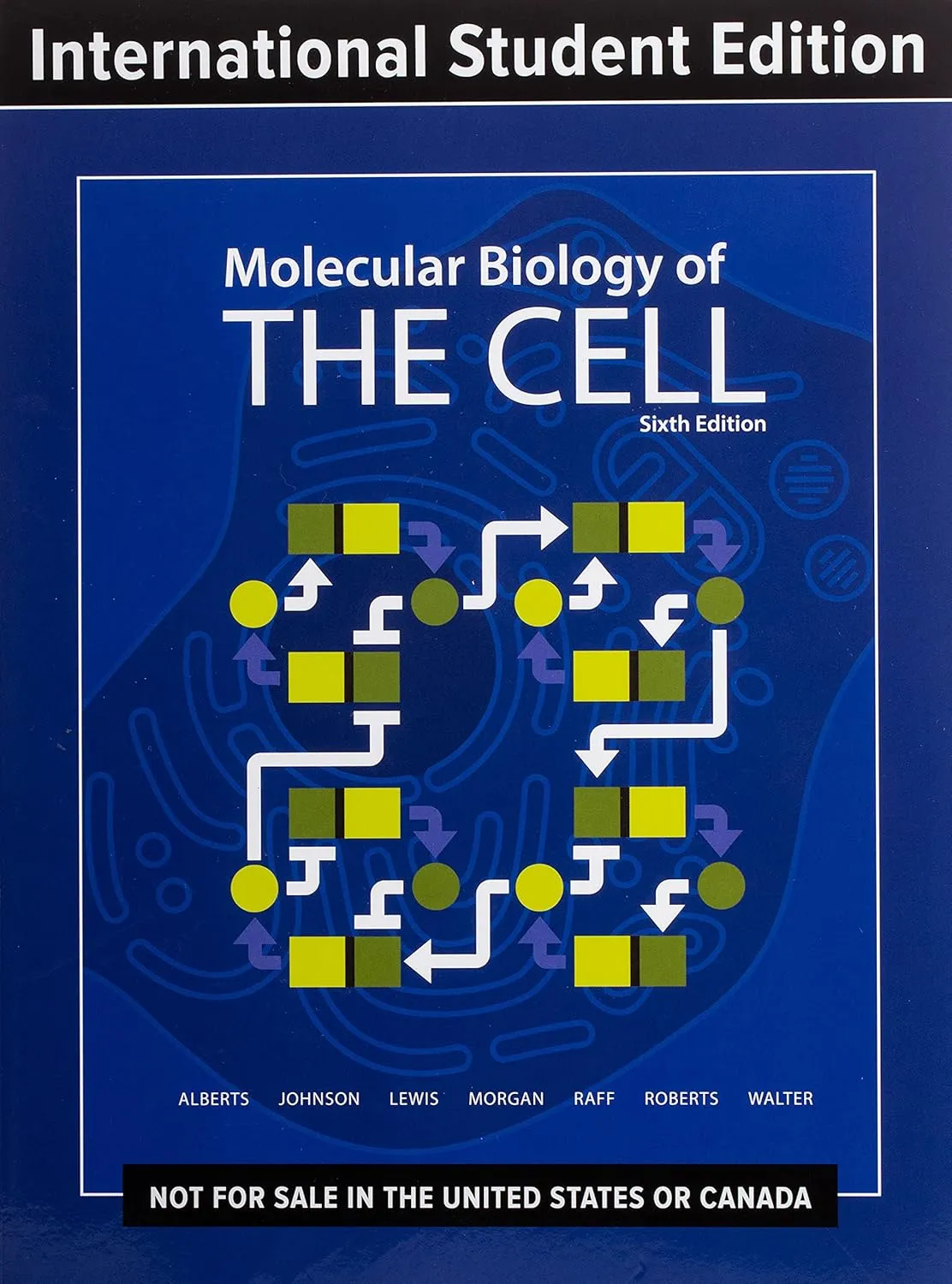 Molecular Biology of The Cell | 6th Edition | Paperback