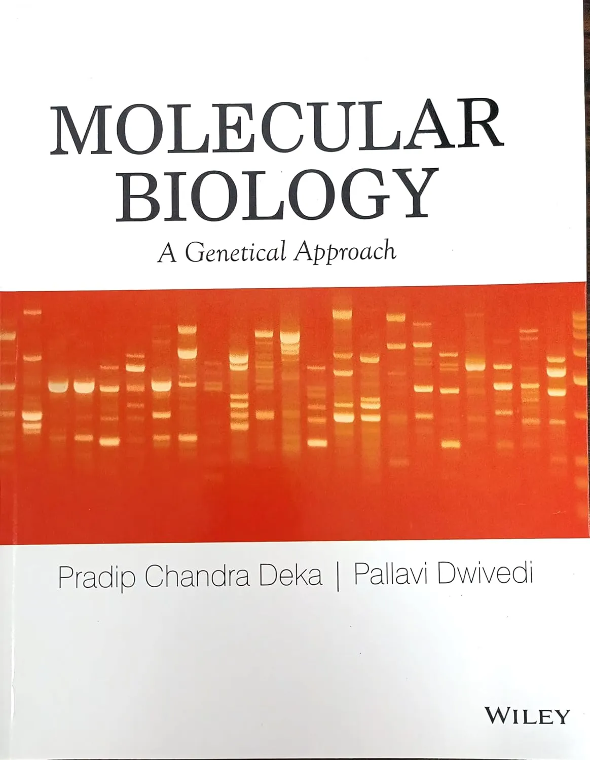 Molecular Biology A Genetical Approach | Paperback