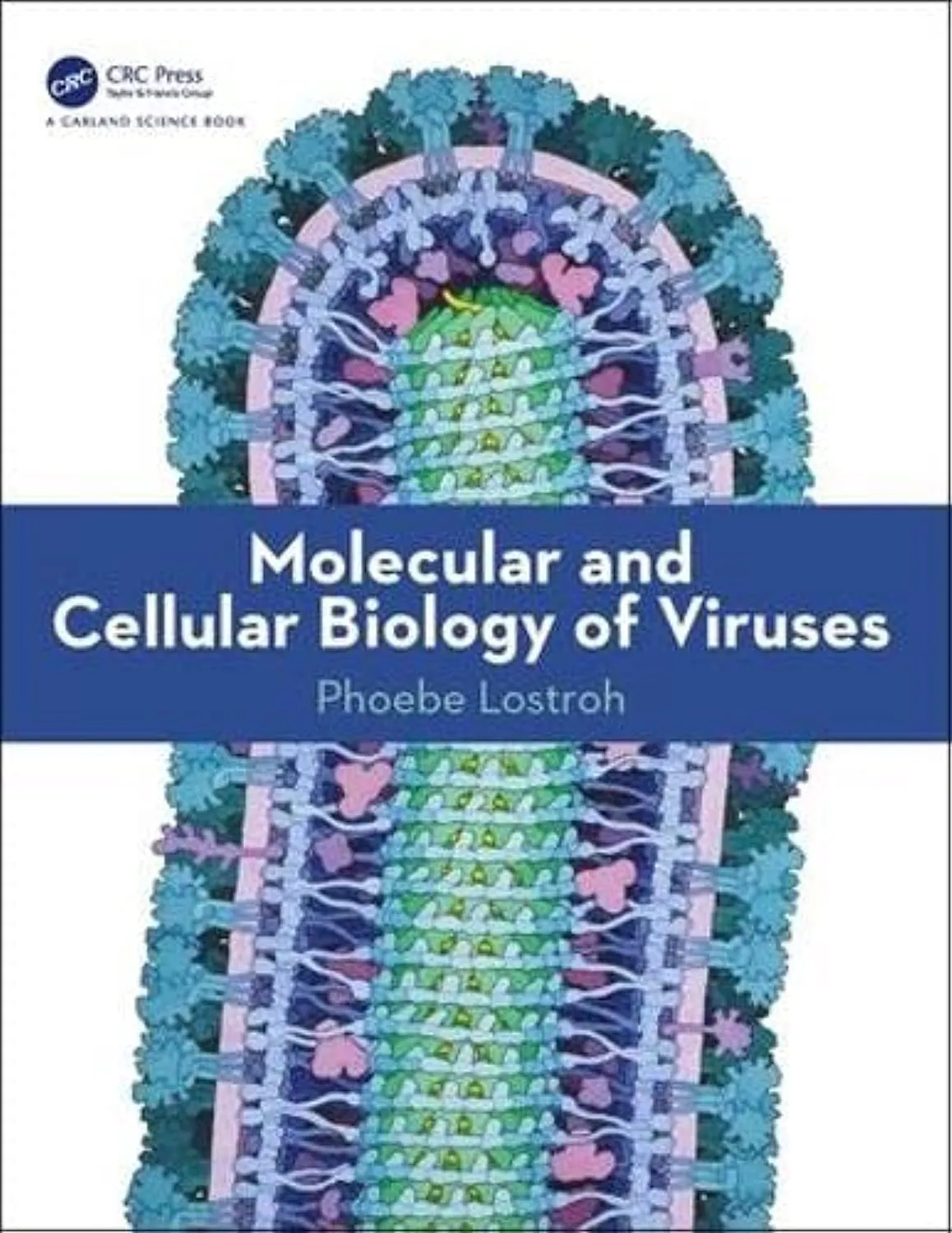 Molecular And Cellular Biology Of Viruses | Paperback