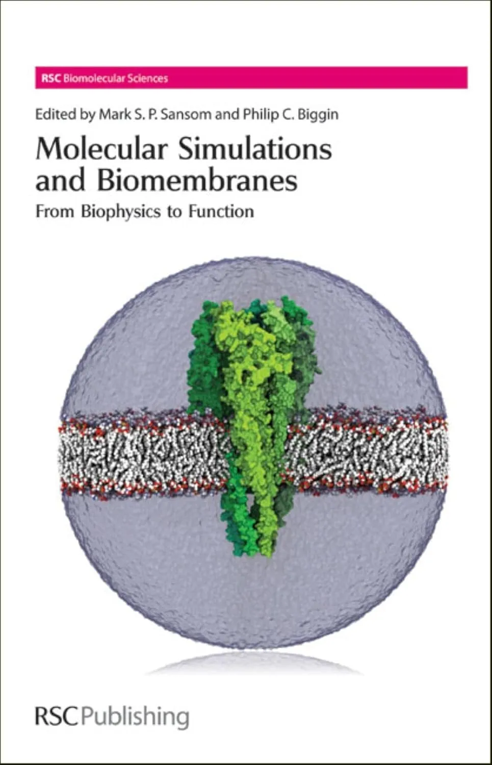 Molecular Simulations and Biomembranes From Biophysics to Function | Hardcover