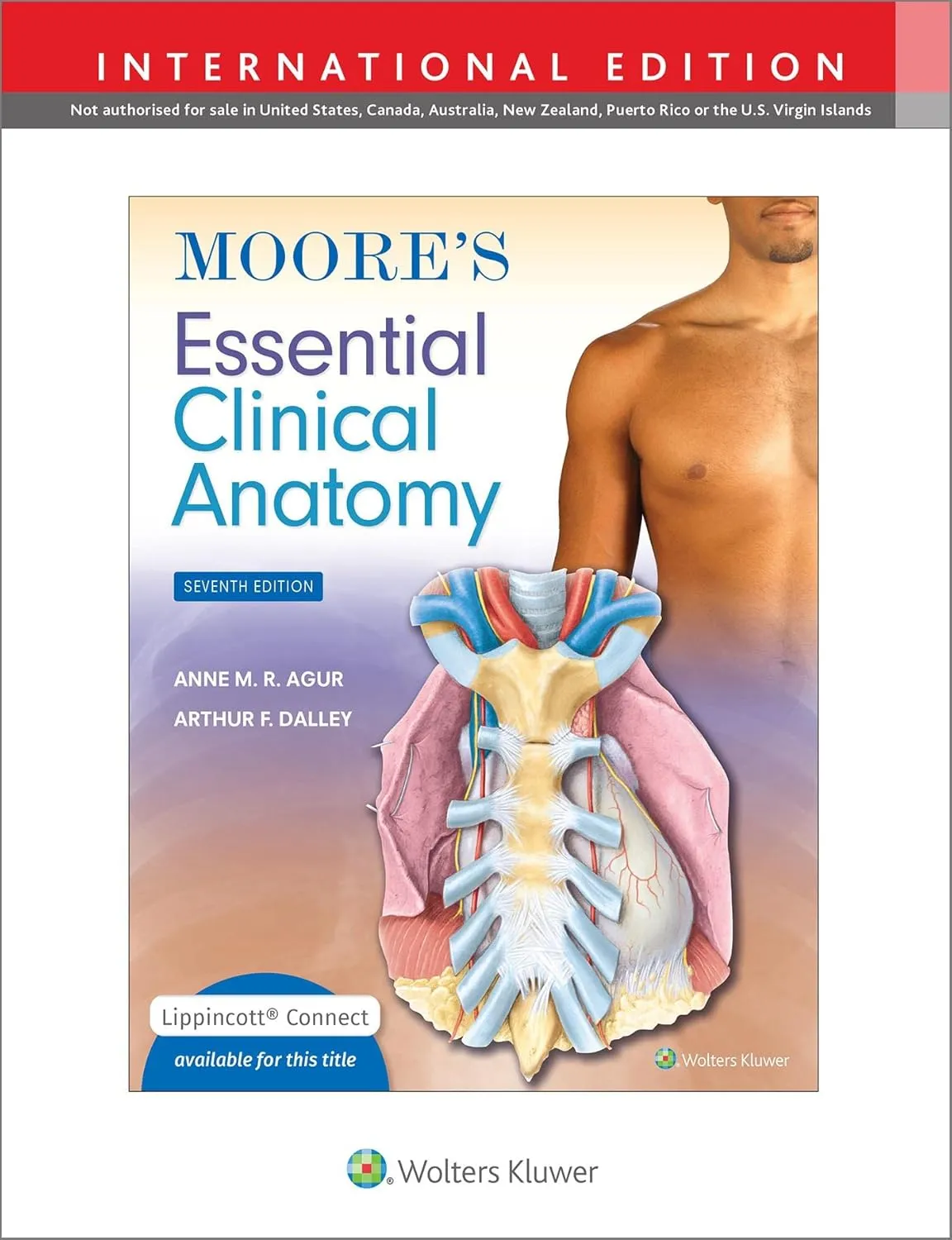 Moores Essential Clinical Anatomy 7th Edition (Ie) | Paperback