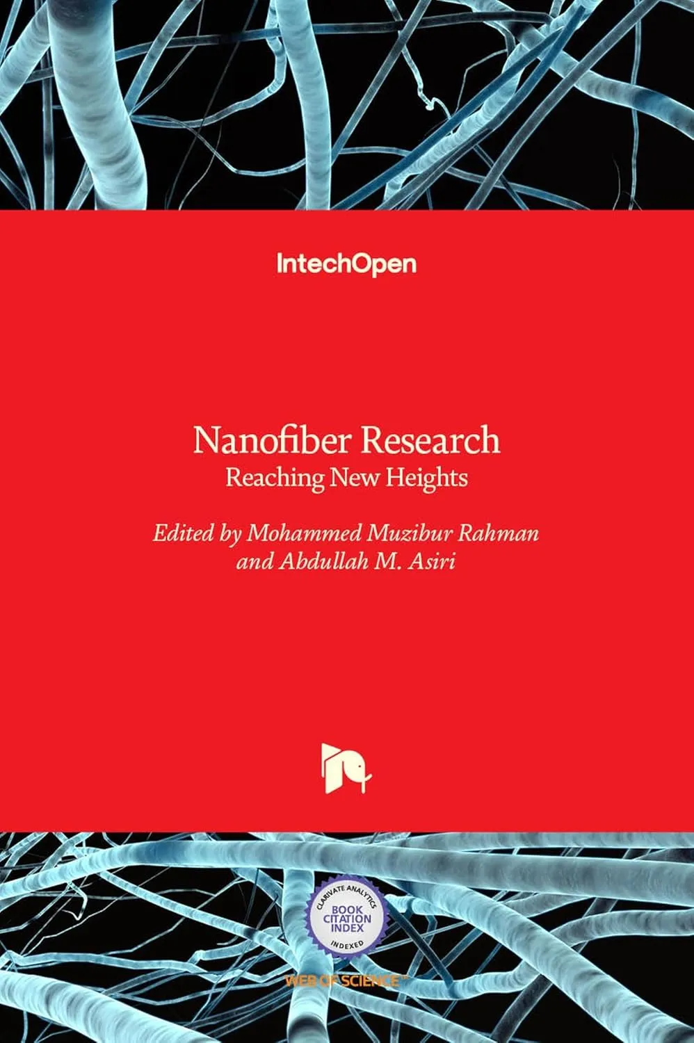 Nanofiber Research Reaching New Heights | Hardcover