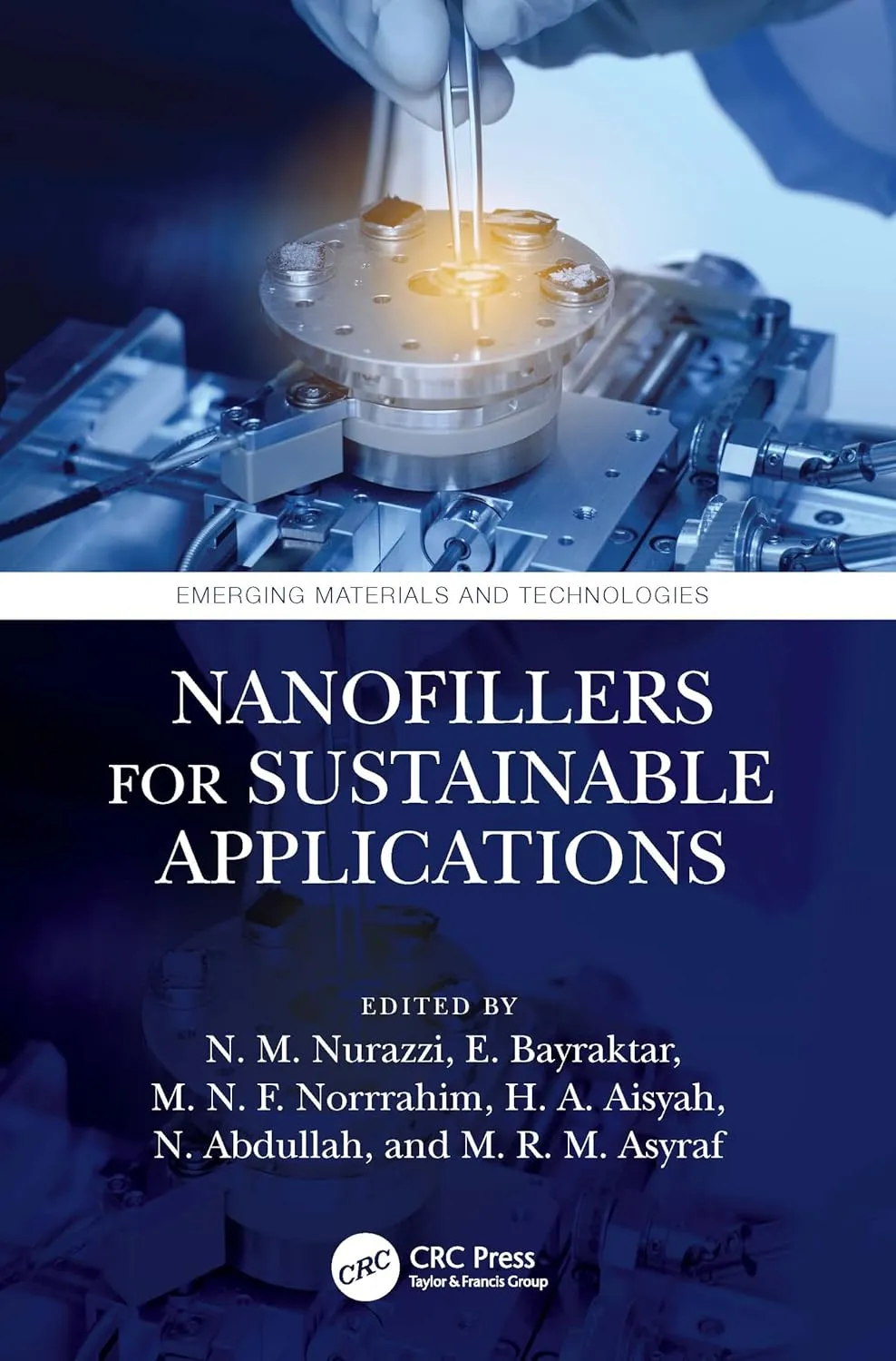 Nanofillers For Sustainable Applications | Hardcover