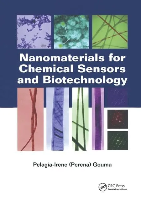Nanomaterials for Chemical Sensors and Biotechnology | Hardcover