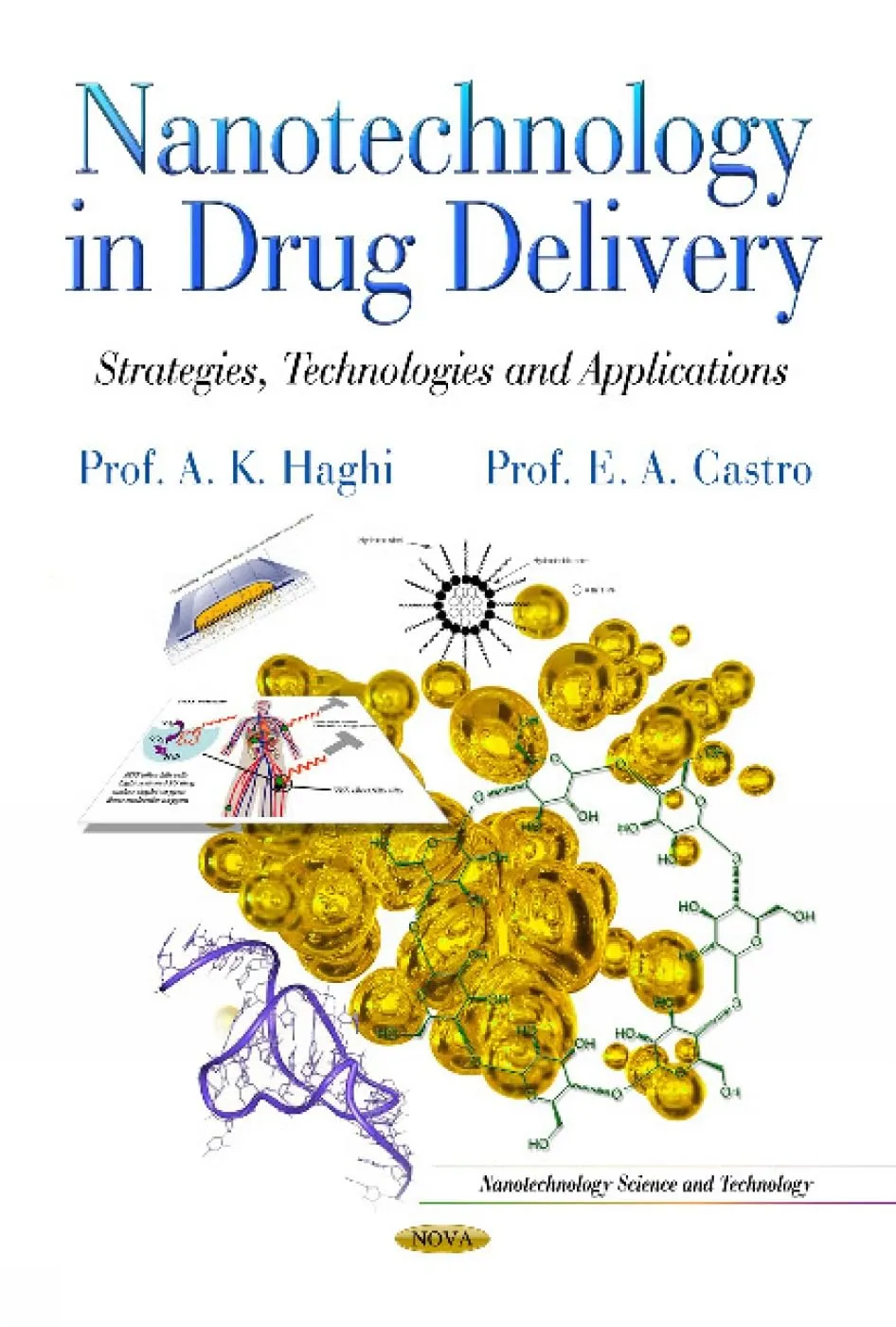 Nanotechnology in Drug Delivery Strategies | Technologies and Applications | Hardcover