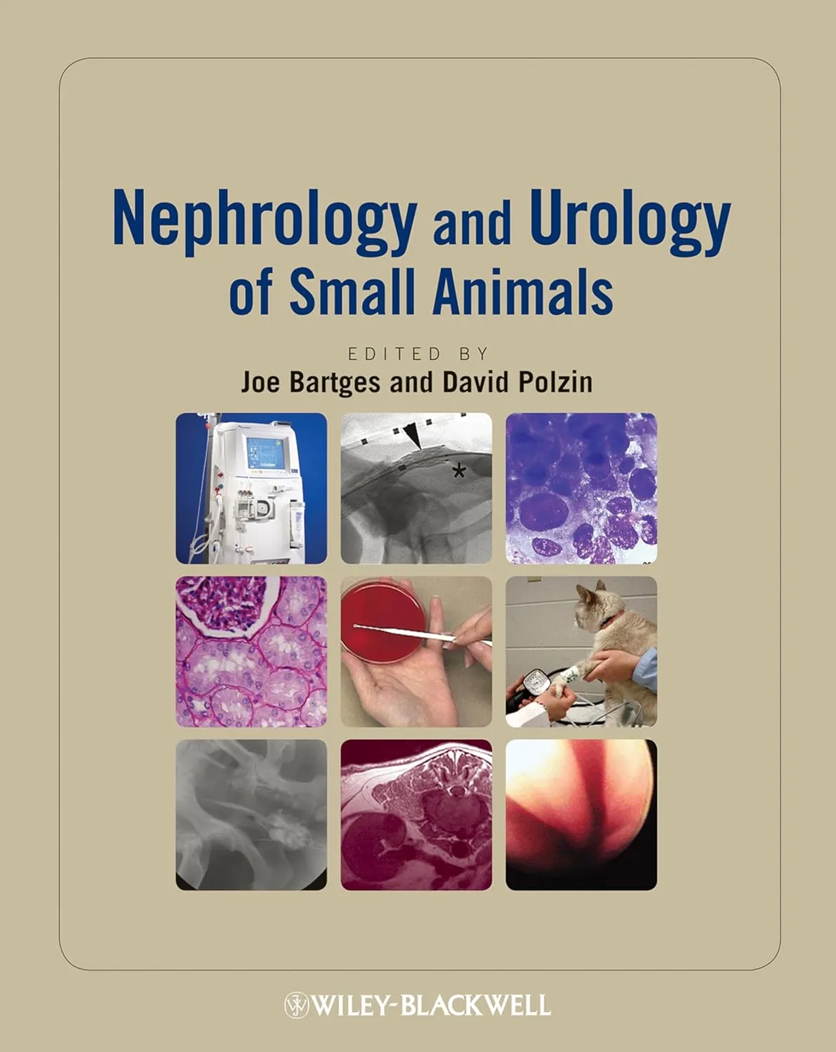 Nephrology and Urology of Small Animals | Hardcover
