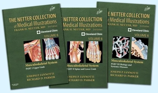 The Netter Collection of Medical Illustrations Musculoskeletal System | 2nd Edition | 3 Vol Set | Vol 6 | Hardcover