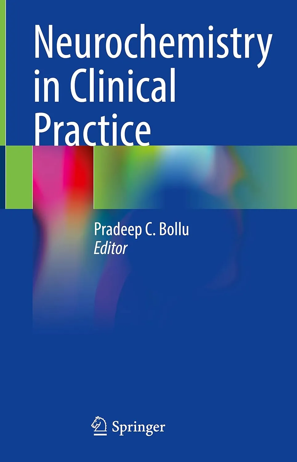 Neurochemistry In Clinical Practice | Hardcover