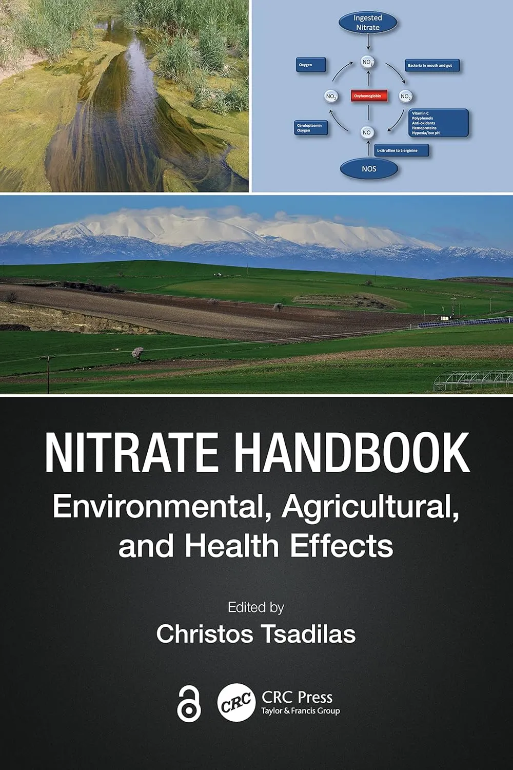 Nitrate Handbook | Hardcover